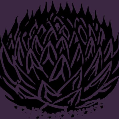 Plants Thumbnail